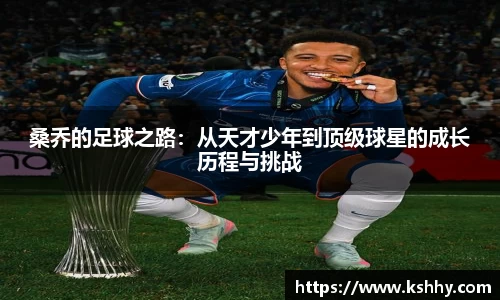 333体育官网